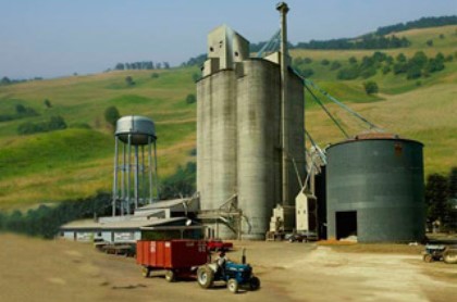 Заксобрание Приангарья обратится в Госдуму РФ с предложениями по поддержке местных сельхозпроизводителей